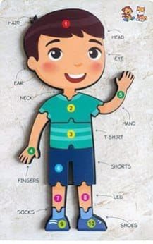 Human Body Parts Wooden Puzzle Board with Knobs – Educational Learning Puzzle for Pre-School and Kindergarten Children(Small Size) (Multicolor)