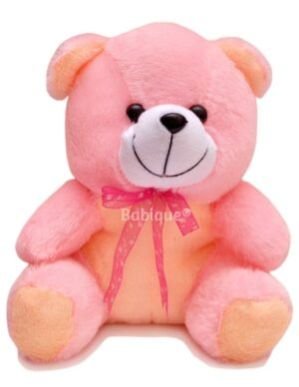 Teddy Bear Soft Toy Boy/Girl/Baby Kids Birthday Gift (25 Cm)