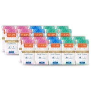 2 Ply Pocket/Hankey Tissue Paper, Super soft and absorbent, made of100% virgin pulp,a gentle experince to all skin types travel packs Pack of 20 (2 Ply x 10 Pulls/ 200 Sheets)